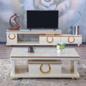 coffee table and tv stand